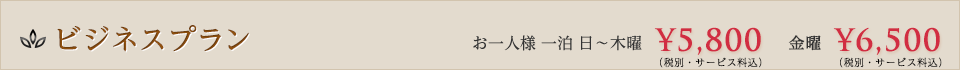ビジネスプラン